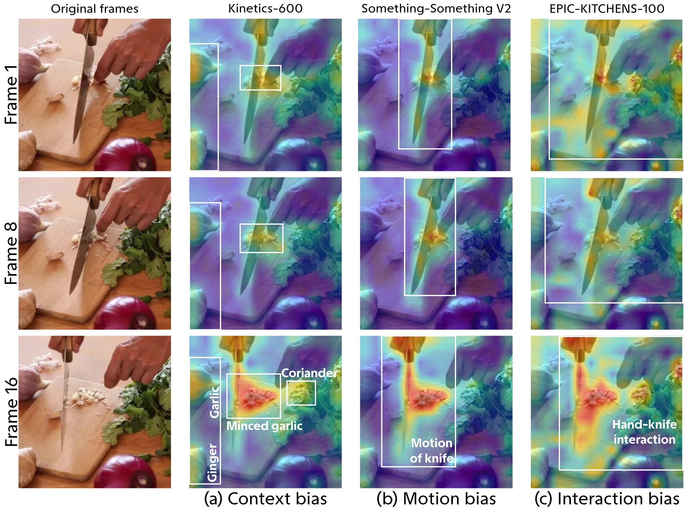Dataset-induced representational biases across pretraining datasets