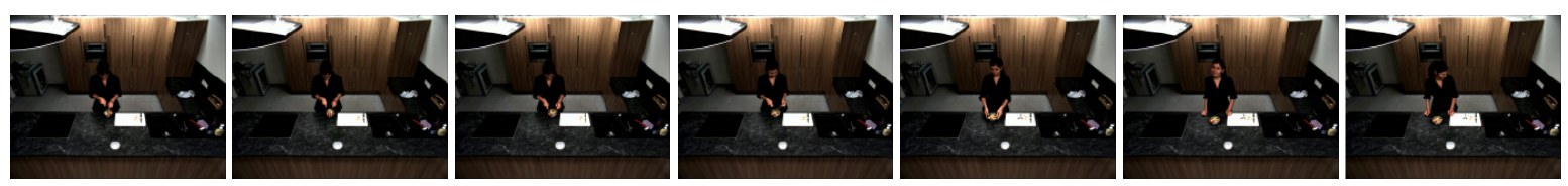 MPII Cooking 2 third-person static camera frames of a cooking procedure